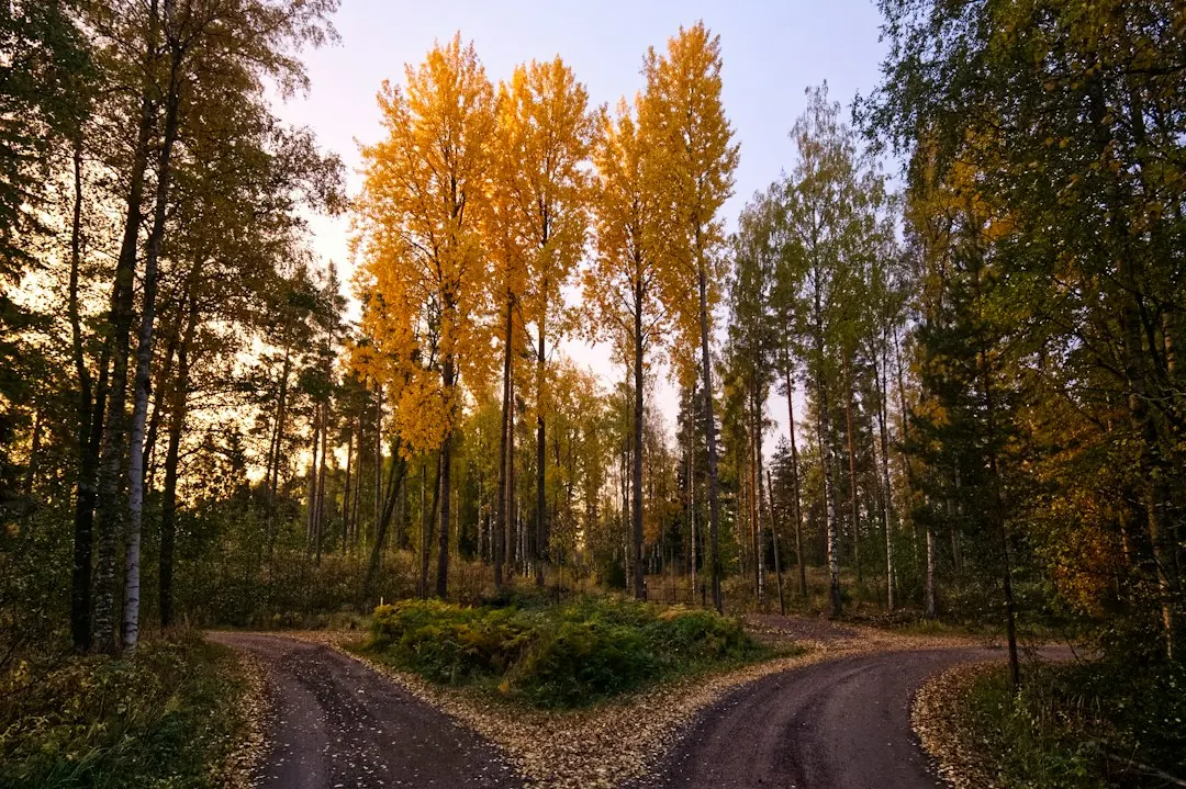 Two paths meeting at a crossroads