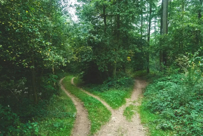 Two paths meeting in the middle